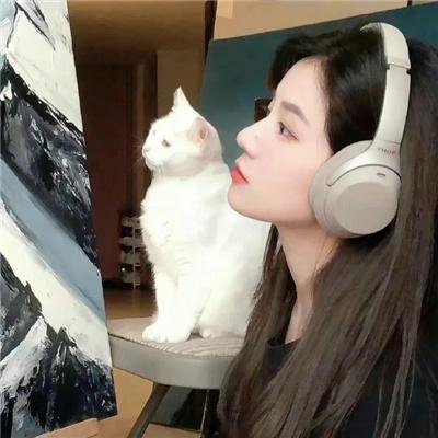 网红教欲